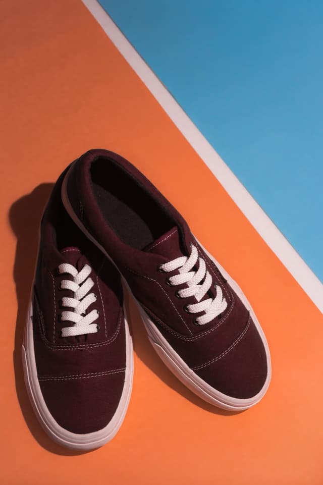 Everyday Canvas Sneakers
